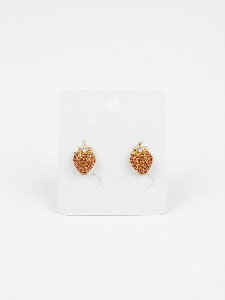 Stainless Steel Earrings