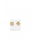 Stainless Steel Earrings