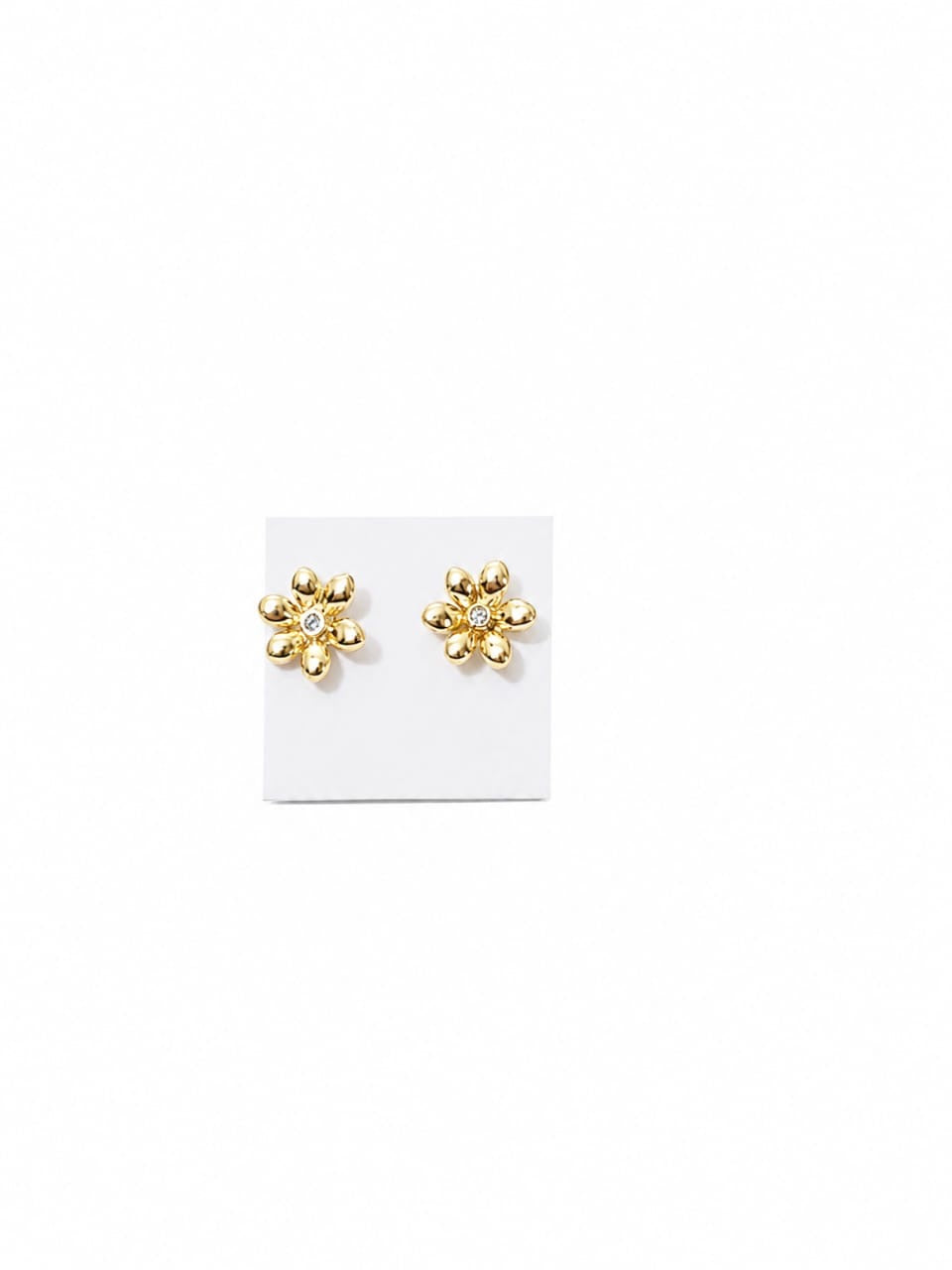 Stainless Steel Earrings