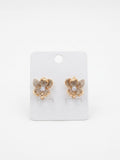 Stainless Steel Earrings