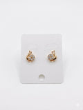 Stainless Steel Earrings