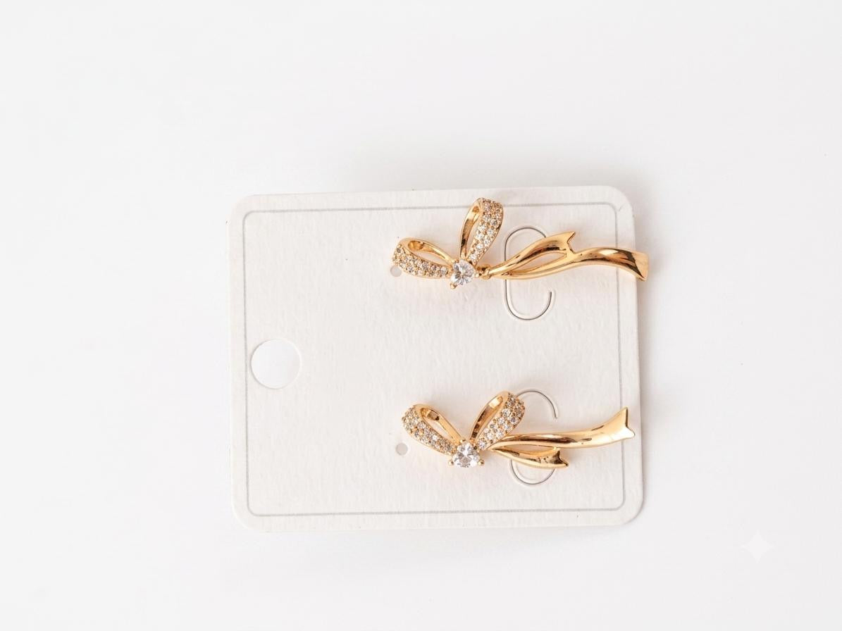 Stainless Steel Earrings