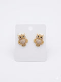 Stainless Steel Earrings