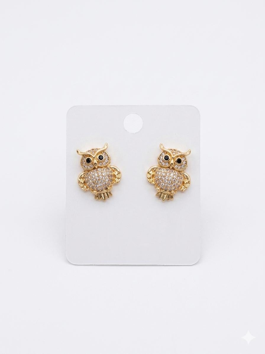 Stainless Steel Earrings
