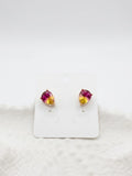 Stainless Steel Earrings