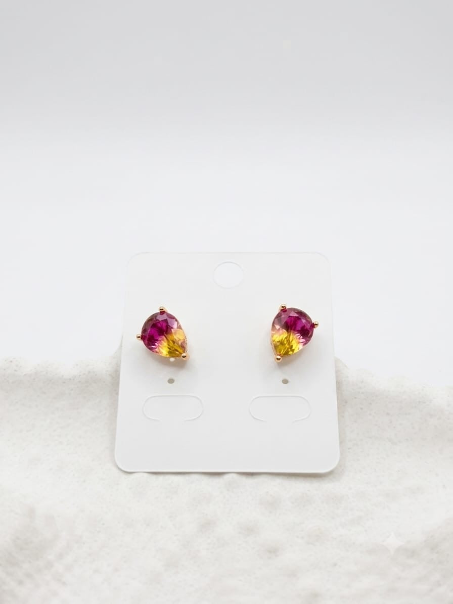 Stainless Steel Earrings