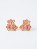 Stainless Steel Earrings