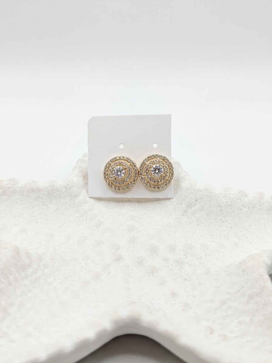 Stainless Steel Earrings