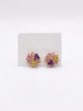 Stainless Steel Earrings