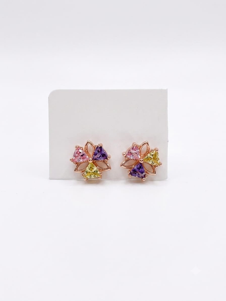 Stainless Steel Earrings