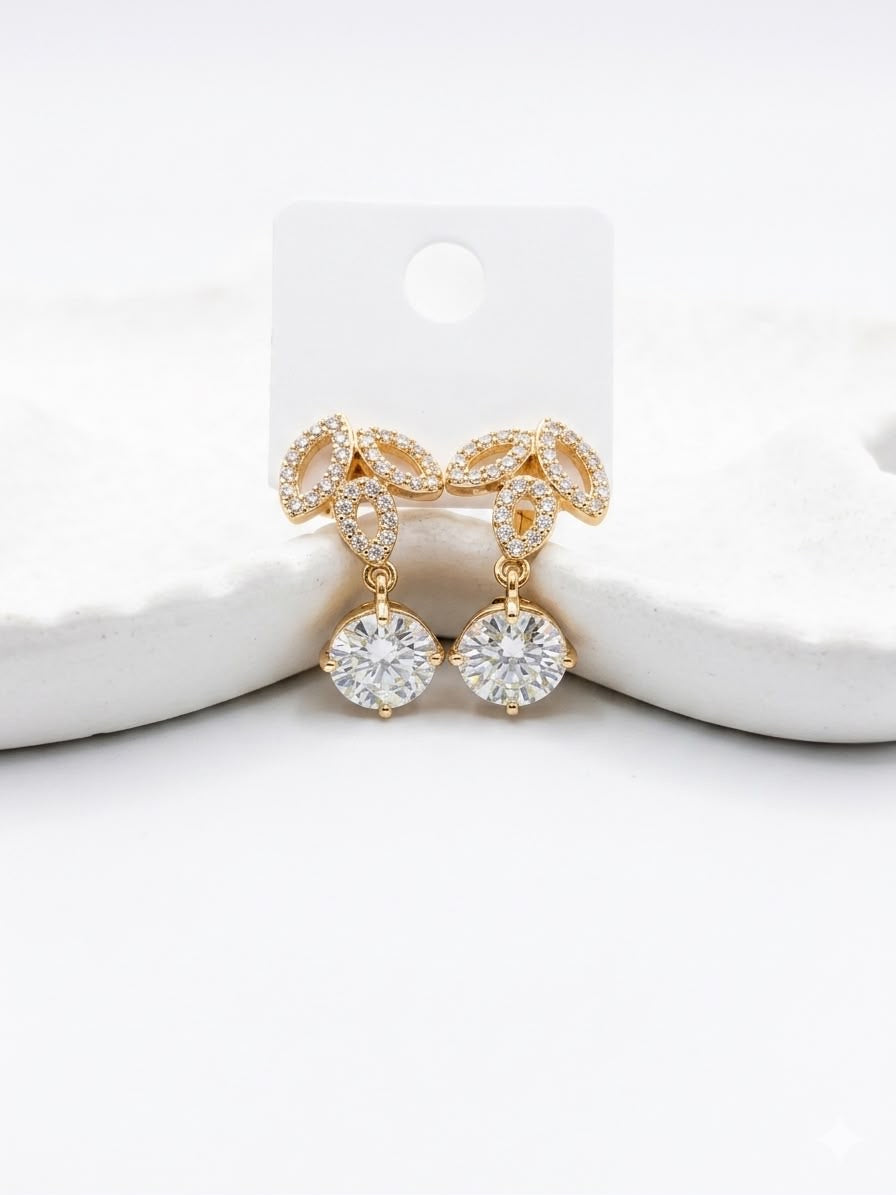 Stainless Steel Earrings