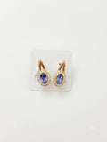 Stainless Steel Earrings
