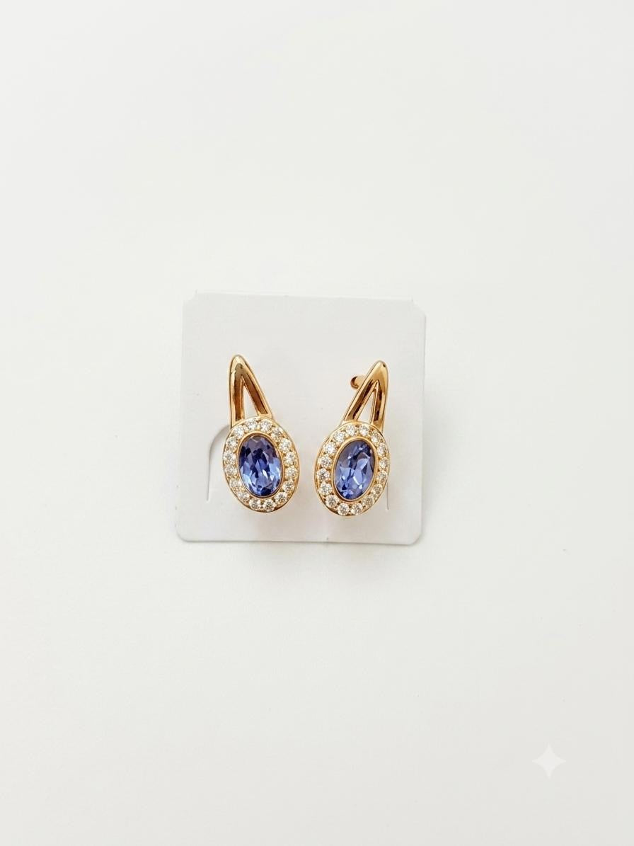 Stainless Steel Earrings